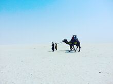 चित्र:Kutch Adventures India.jpg