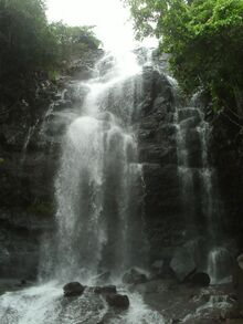 चित्र:Vyaghreshwar Waterfall2.JPG
