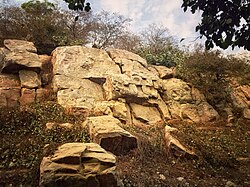 Govardhan hill, Govardhan.jpg