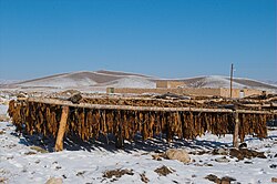 Tobacco drying iran.jpg