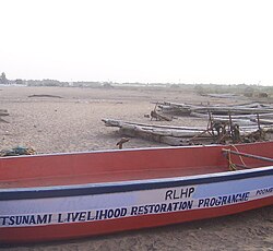 Puhar-Tsunami.jpg